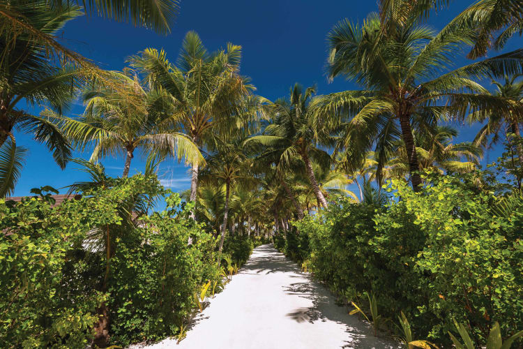 Main island pathway